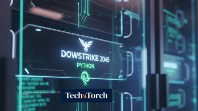 Software Dowsstrike2045 Python