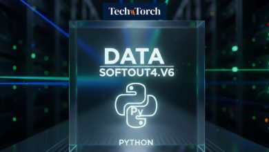 Data SoftOut4.v6 Python